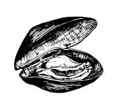 crab